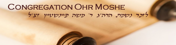 Congregation Ohr Moshe symbol