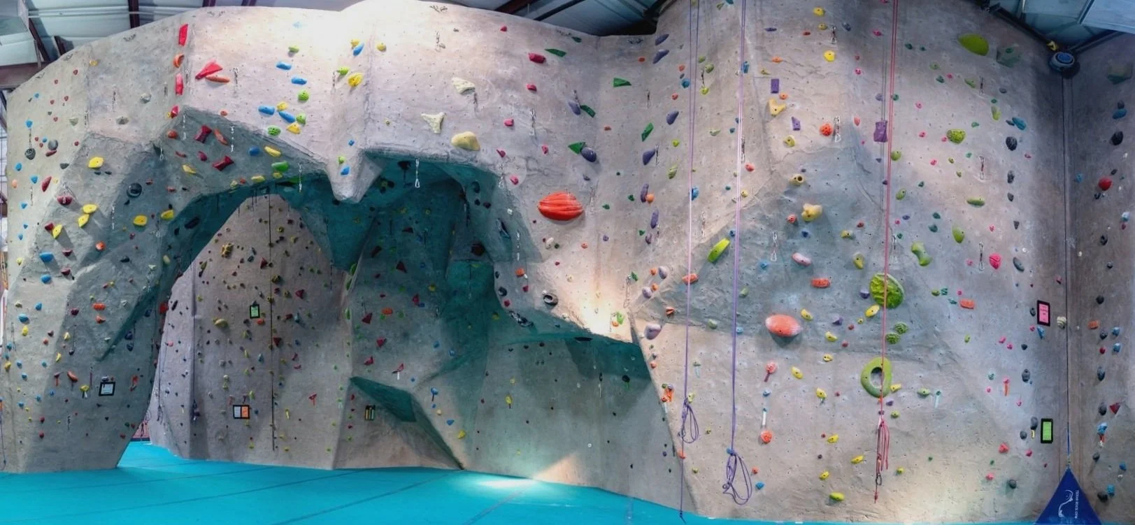 Climb Capuchin